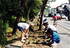 通学路花いっぱい事業